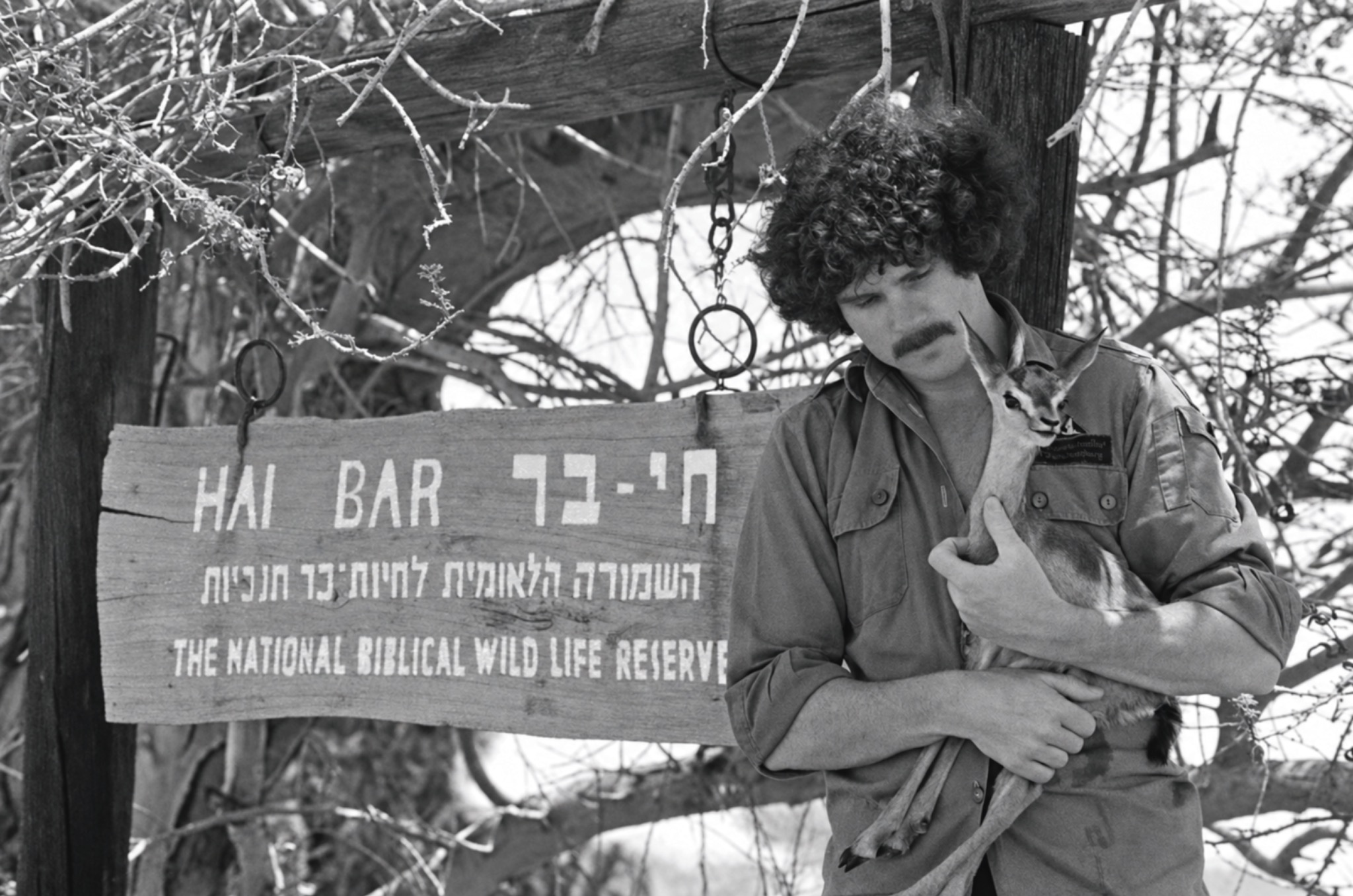 Michael Cassimaty holding a young gazelle at Hai Bar Yotvata in the Negev Desert, 1981