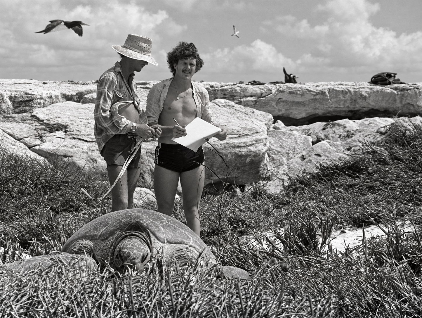 Fieldwork on Raine Island